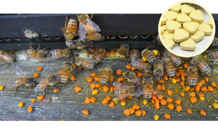 Beehall Promote Intestinal Peristalsis Raw Bee Pollen Tablets