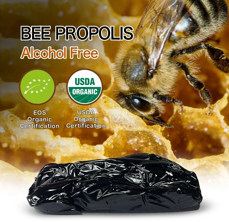 Beehall Bee Products Supplier Premium Natural Bulk Propolis Cream